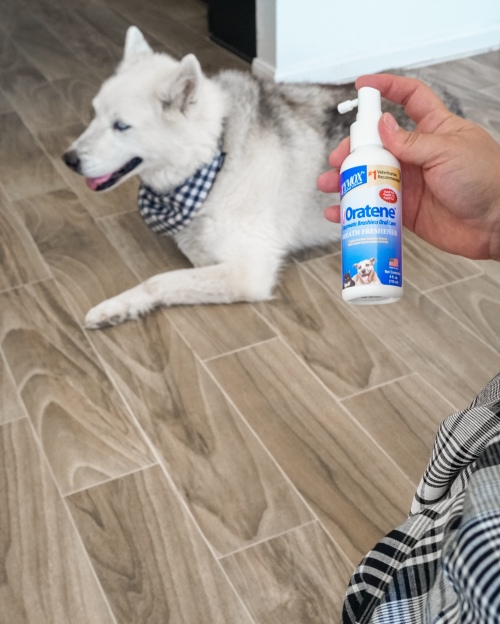 dog breath spray