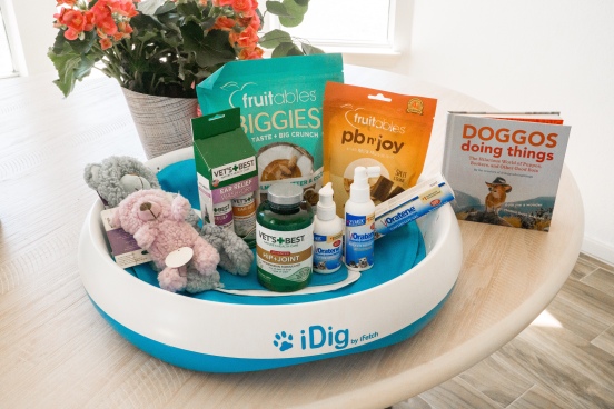 essential products for dog parents